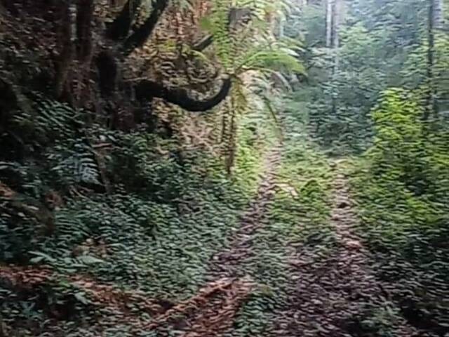 #8 - Chácara para Venda em Urubici - SC