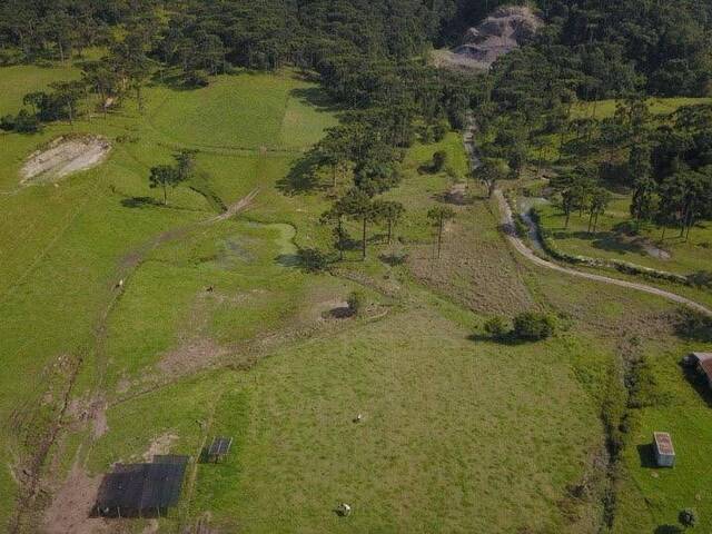 #11 - Chácara para Venda em Urubici - SC