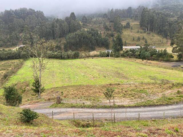 #13 - Chácara para Venda em Urubici - SC