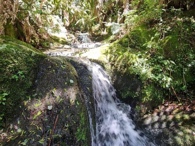 Venda em Santa Tereza - Urubici