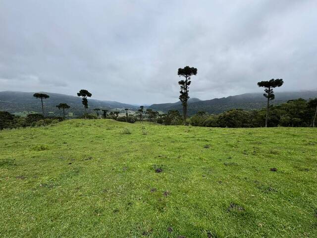 Venda em Santa Tereza - Urubici