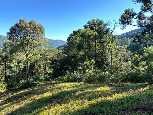 Venda em Rio Dos Bugres - Urubici
