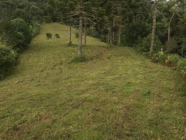#24 - Chácara para Venda em Urubici - SC