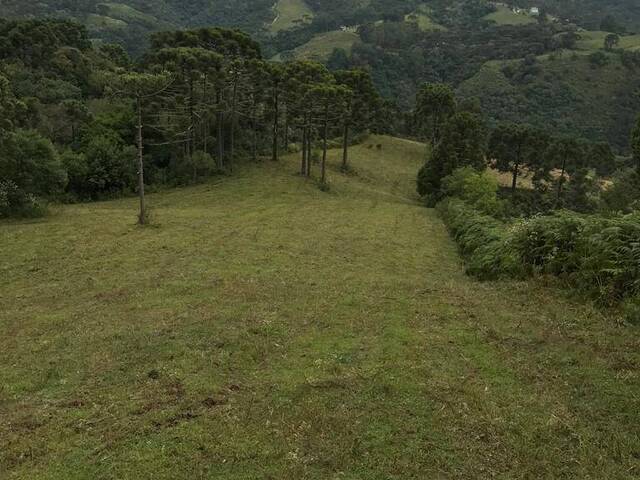 Chácara para Venda em Urubici - 4