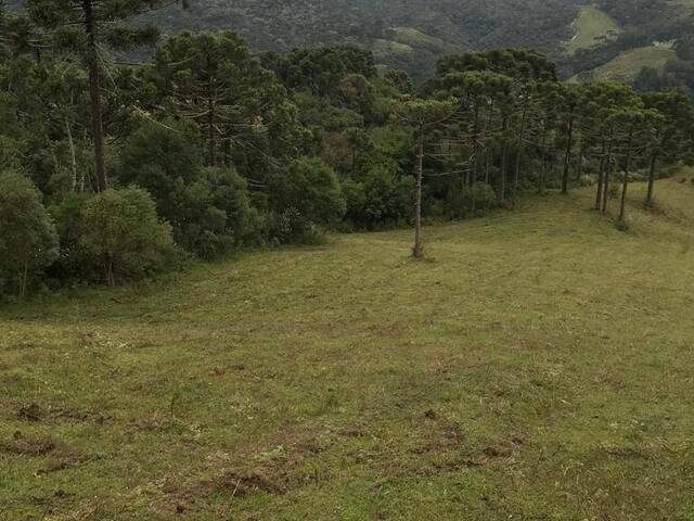 Chácara para Venda em Urubici - 5