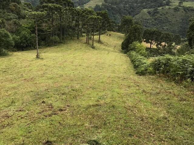 Venda em Rio Dos Bugres - Urubici