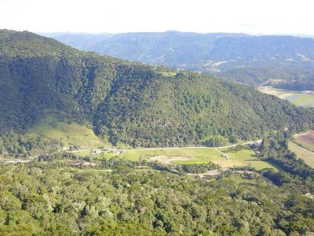 #25 - Chácara para Venda em Urubici - SC