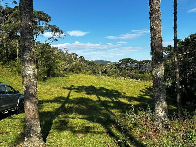 Venda em Rio Dos Bugres - Urubici