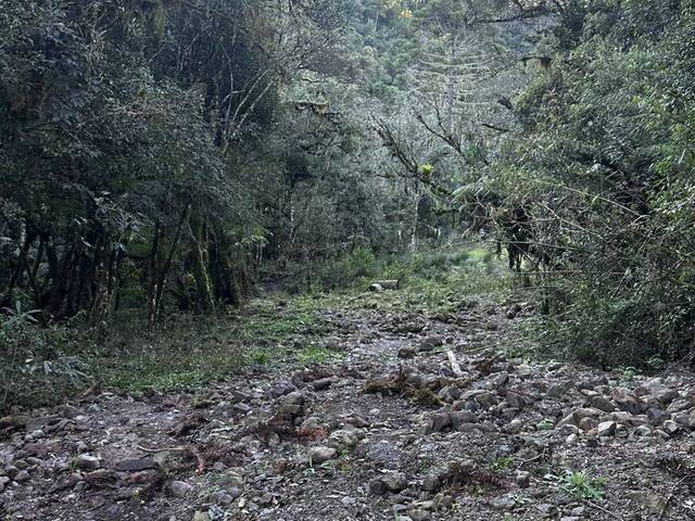 Chácara para Venda em Urubici - 4