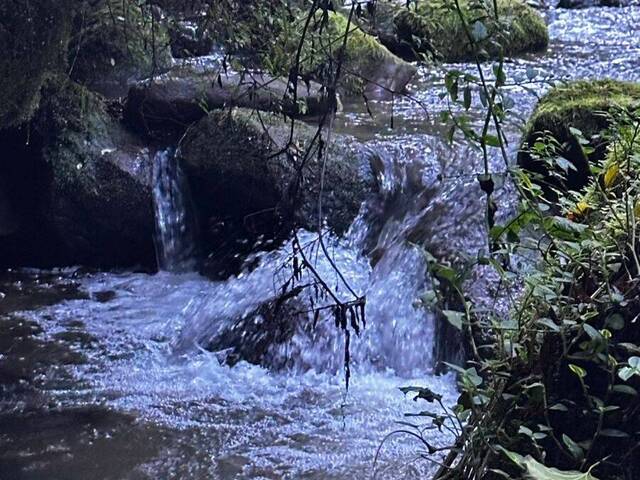 Venda em Santa Tereza - Urubici