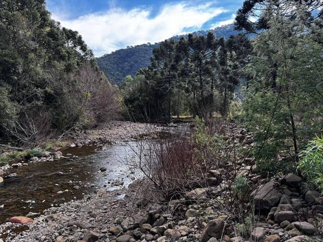 #29 - Chácara para Venda em Urubici - SC
