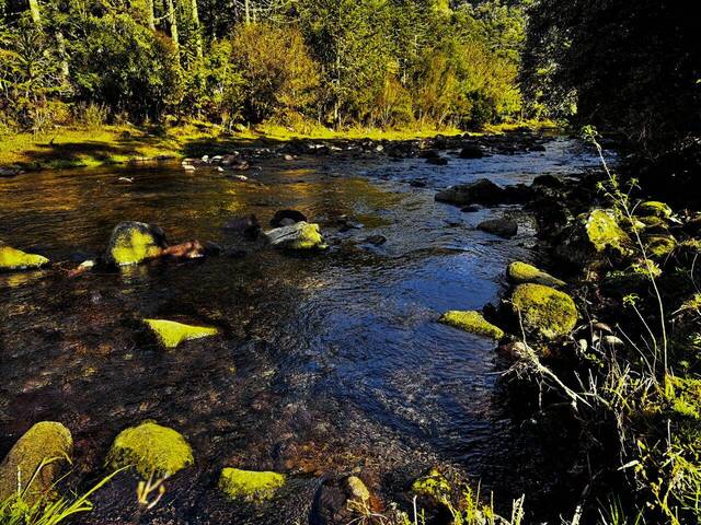 #31 - Chácara para Venda em Urubici - SC
