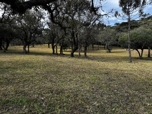 Venda em Aguas Brancas - Urubici
