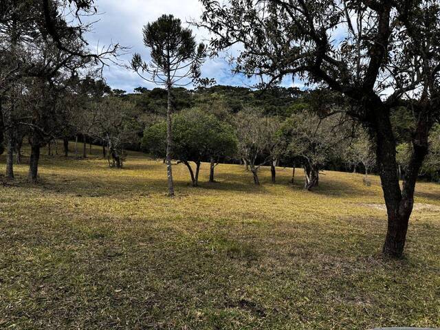 #32 - Chácara para Venda em Urubici - SC