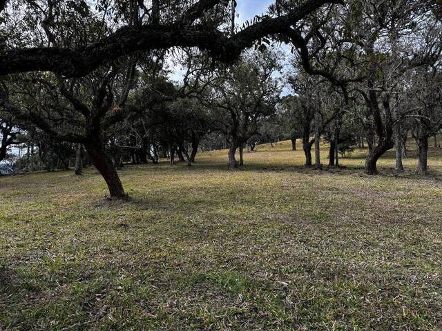 #32 - Chácara para Venda em Urubici - SC
