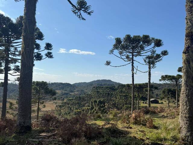 #36 - Chácara para Venda em Urubici - SC