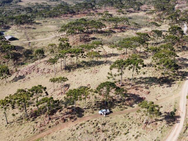 #36 - Chácara para Venda em Urubici - SC