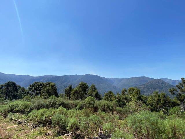 #37 - Área para Venda em Urubici - SC