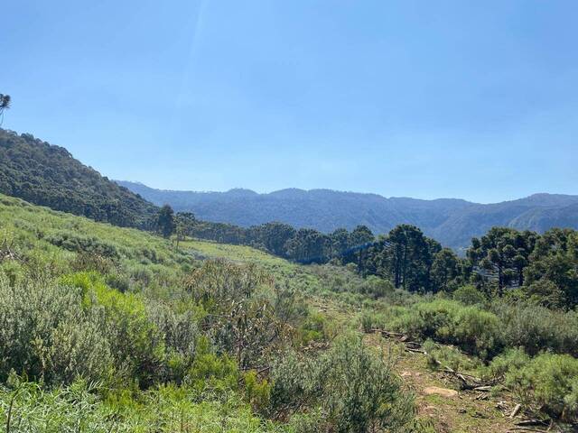 Área para Venda em Urubici - 5