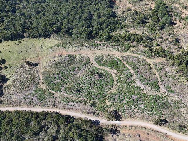 #37 - Área para Venda em Urubici - SC