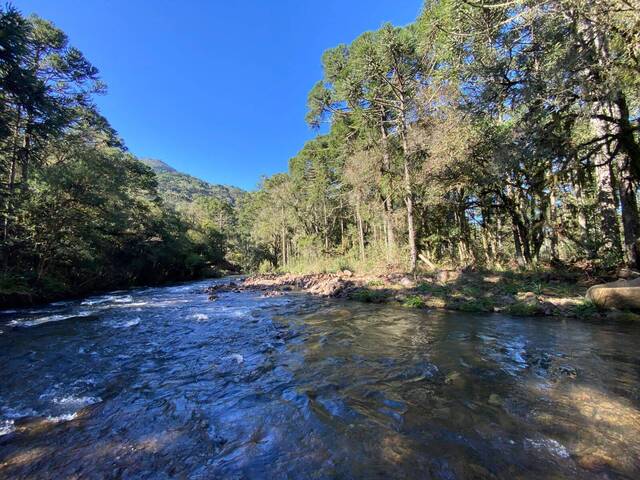 #38 - Chácara para Venda em Urubici - SC