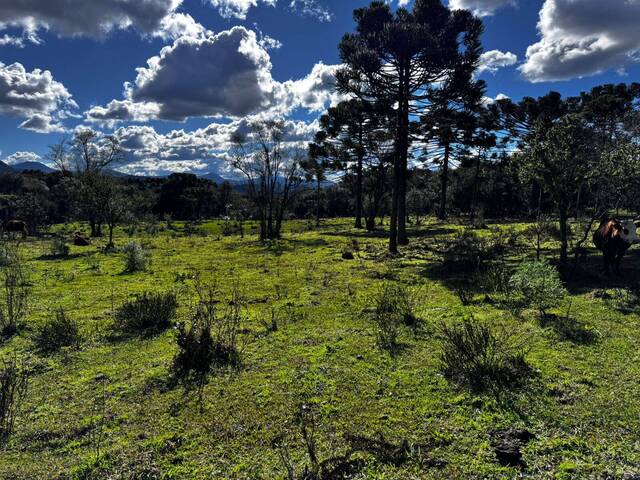 #40 - Chácara para Venda em Urubici - SC