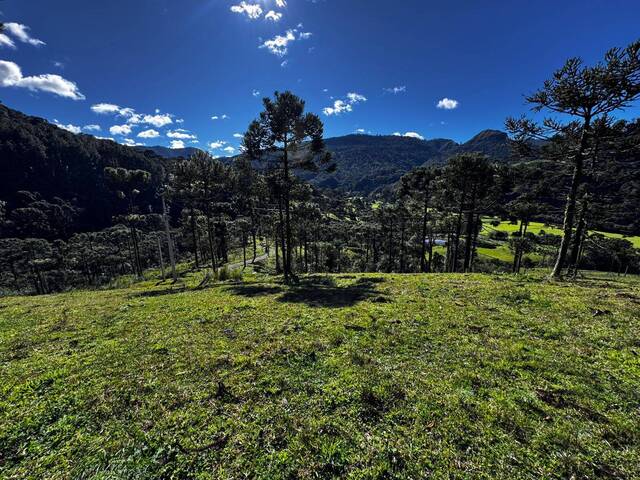 #41 - Chácara para Venda em Urubici - SC