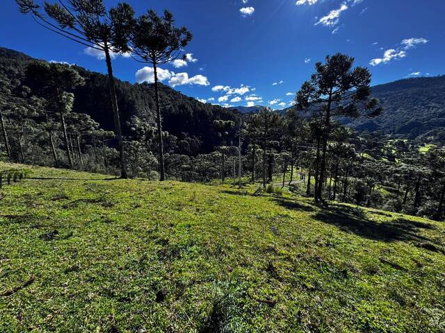 #41 - Chácara para Venda em Urubici - SC