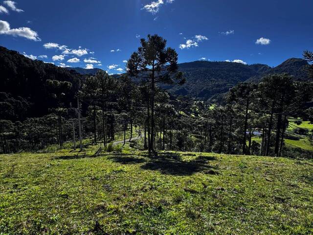 Chácara para Venda em Urubici - 4