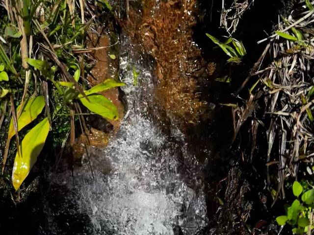 #42 - Chácara para Venda em Urubici - SC