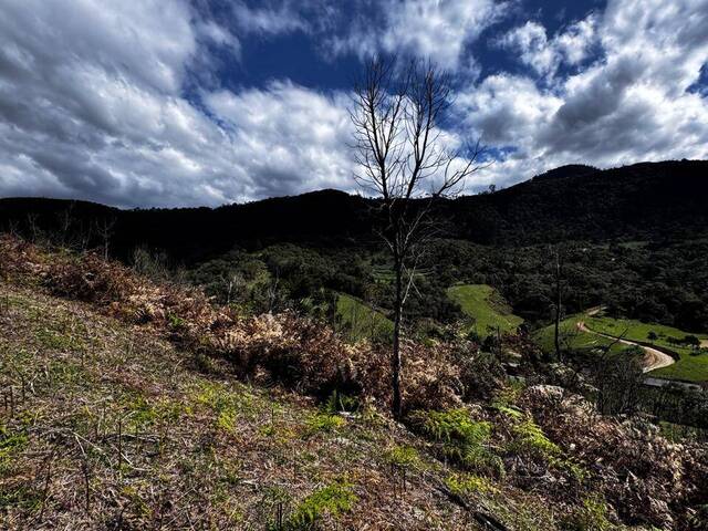 #44 - Chácara para Venda em Bom Retiro - SC