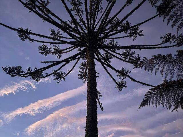 #45 - Chácara para Venda em Urubici - SC