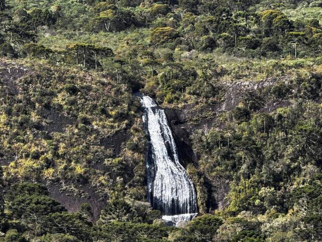 #45 - Chácara para Venda em Urubici - SC