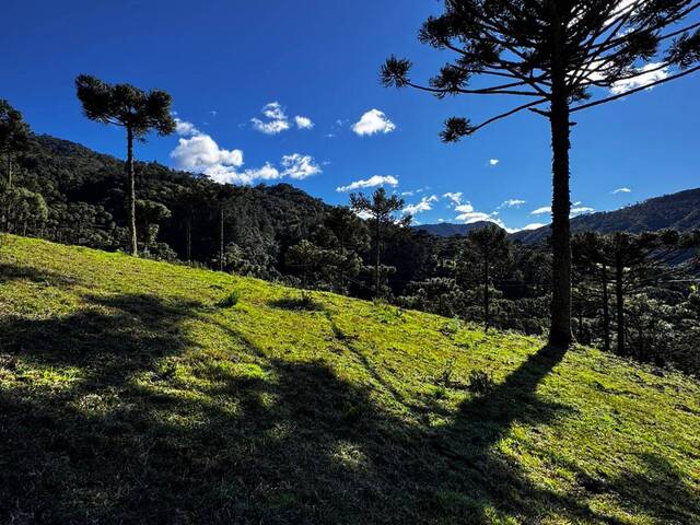 #46 - Chácara para Venda em Urubici - SC