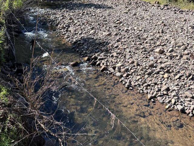 #46 - Chácara para Venda em Urubici - SC