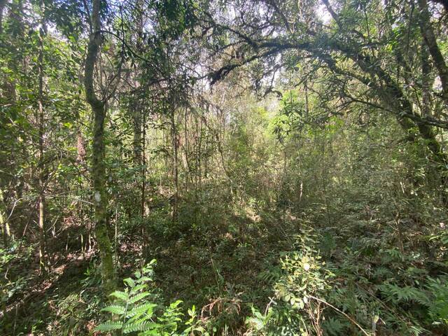 #47 - Chácara para Venda em Urubici - SC