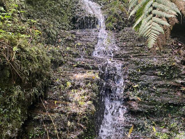 #47 - Chácara para Venda em Urubici - SC