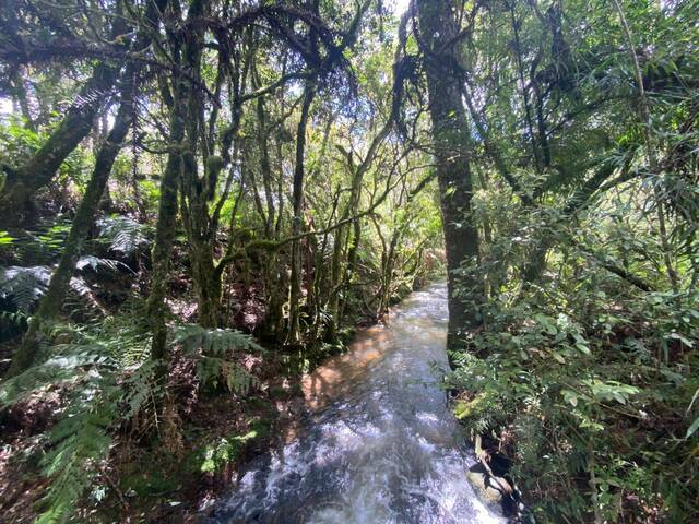 #47 - Chácara para Venda em Urubici - SC
