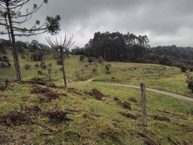 #52 - Chácara para Venda em Bom Retiro - SC