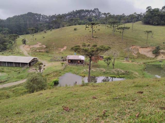 Chácara para Venda em Bom Retiro - 5