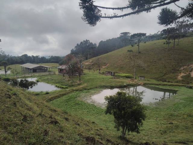 Venda em Três Pontas - Bom Retiro