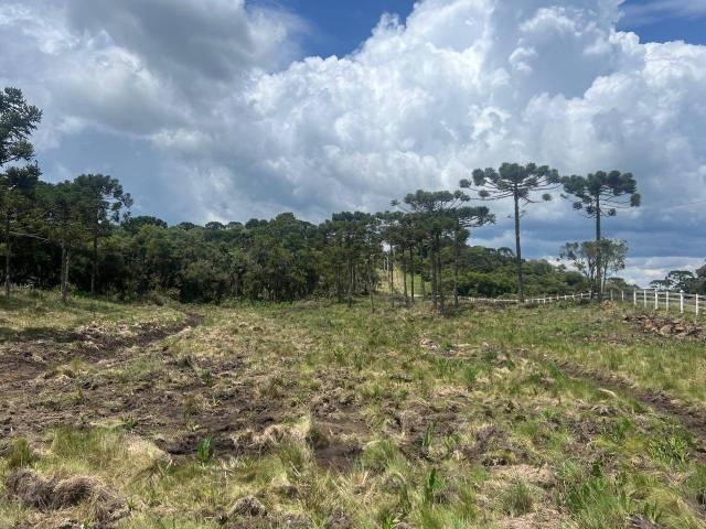 #54 - Chácara para Venda em Urubici - SC