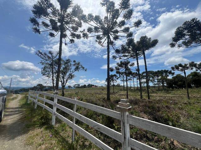 #54 - Chácara para Venda em Urubici - SC