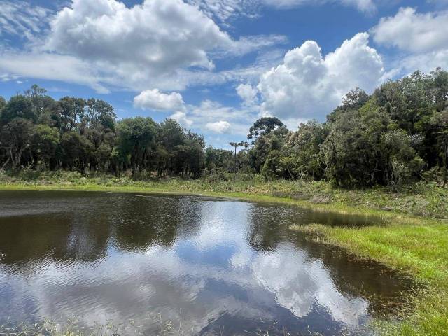 #54 - Chácara para Venda em Urubici - SC