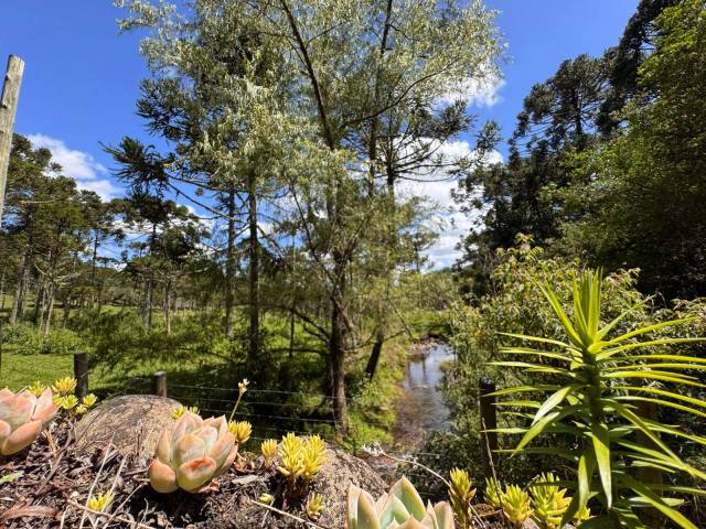 #56 - Área para Venda em Bom Retiro - SC