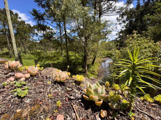 #56 - Área para Venda em Bom Retiro - SC
