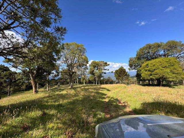 Venda em Morro Azul - Urubici
