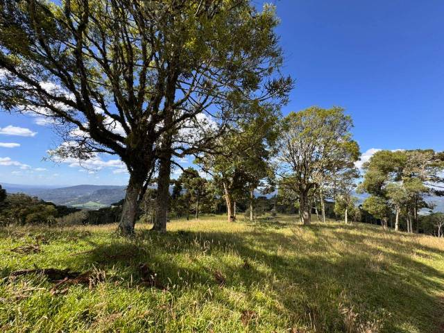 #57 - Área para Venda em Urubici - SC