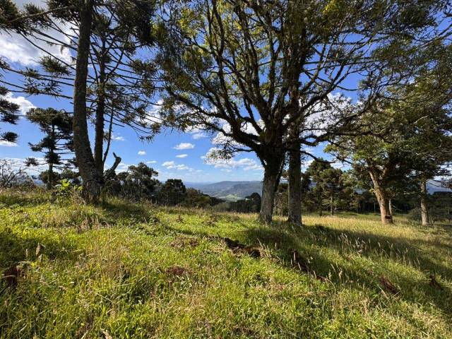#57 - Área para Venda em Urubici - SC