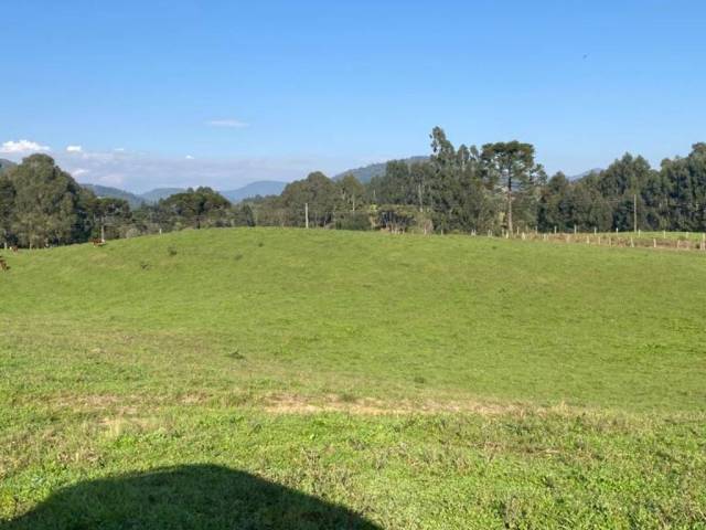 #60 - Chácara para Venda em Rio Rufino - SC